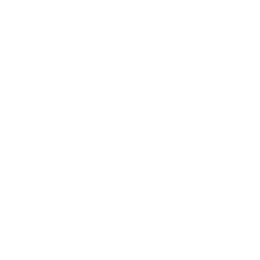 Lowbro